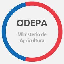 Logo de Oficina de...