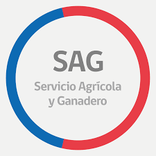 Logo de Servicio A...