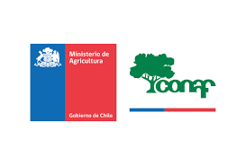 Logo de Corporació...